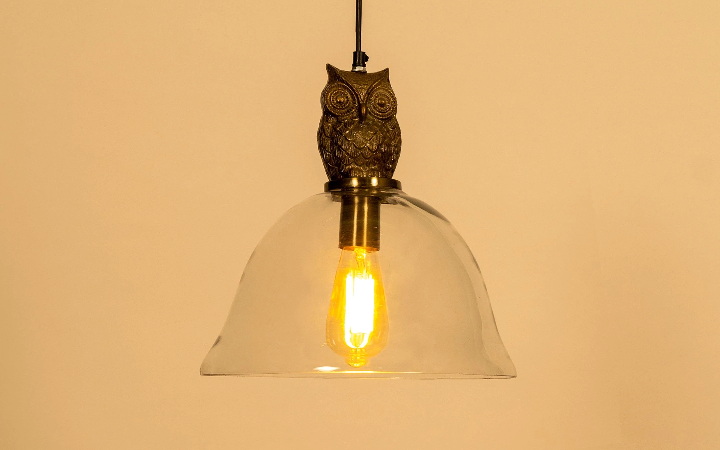 Owl Hanging Lamp - Image 10