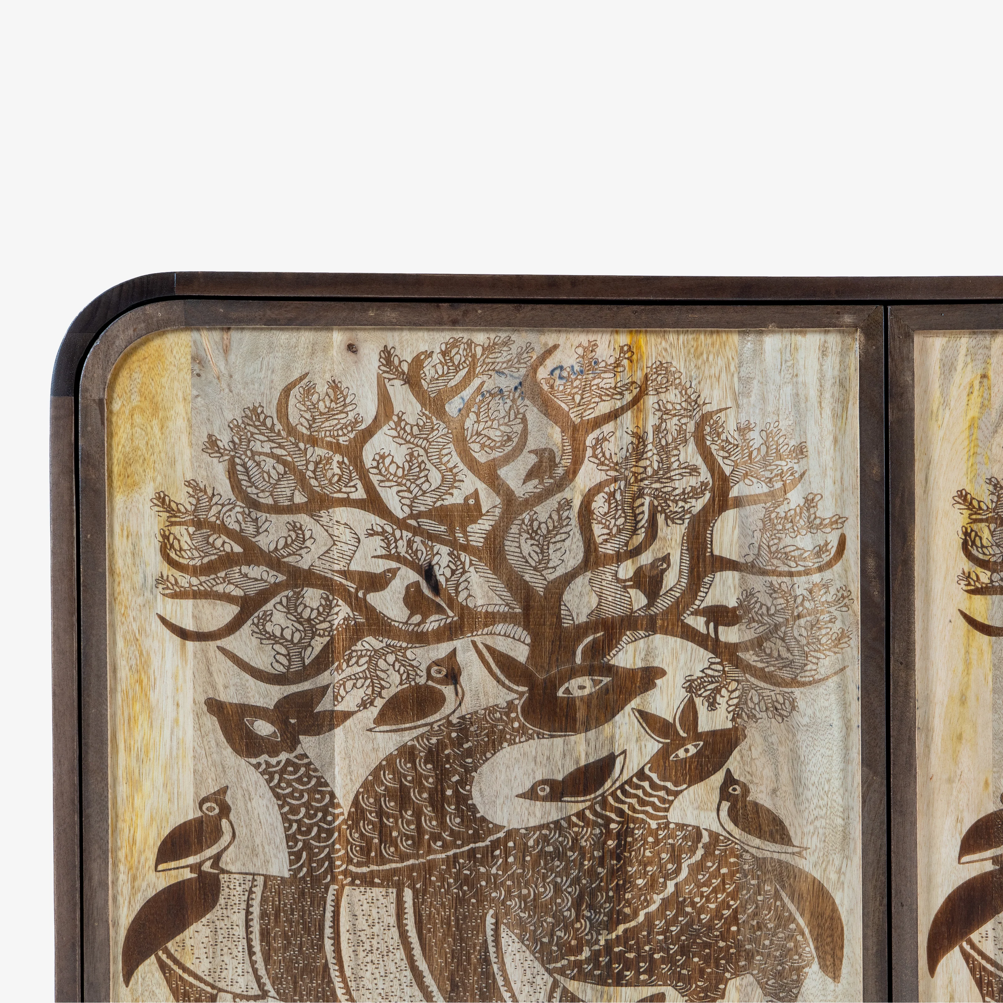 Tajni Sideboard - Image 4